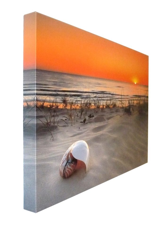 Gallery Wrap Canvas Prints