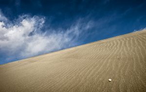 Contrast aplenty, Nubra Valley