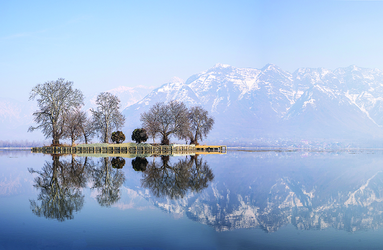 Char Chinar, Dal Lake, Srinagar