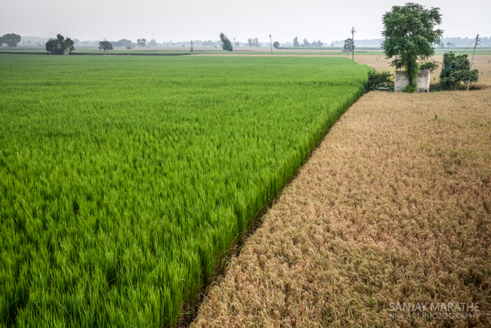 India Photo Stock Images