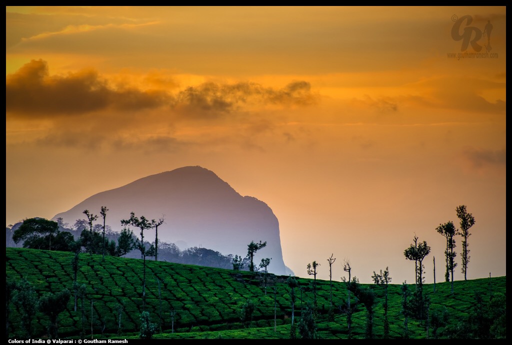 Colors of India