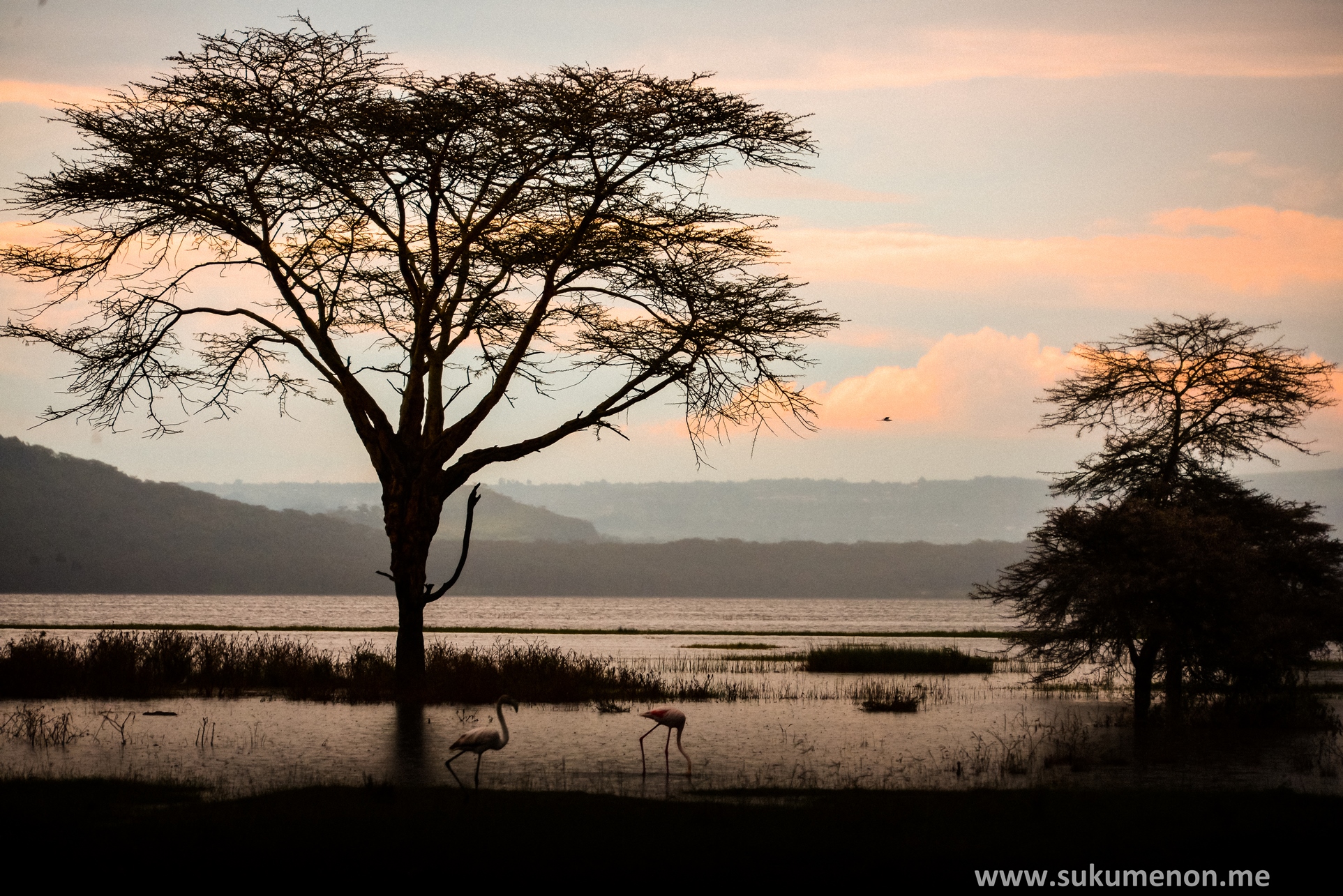 Nakuru Lake