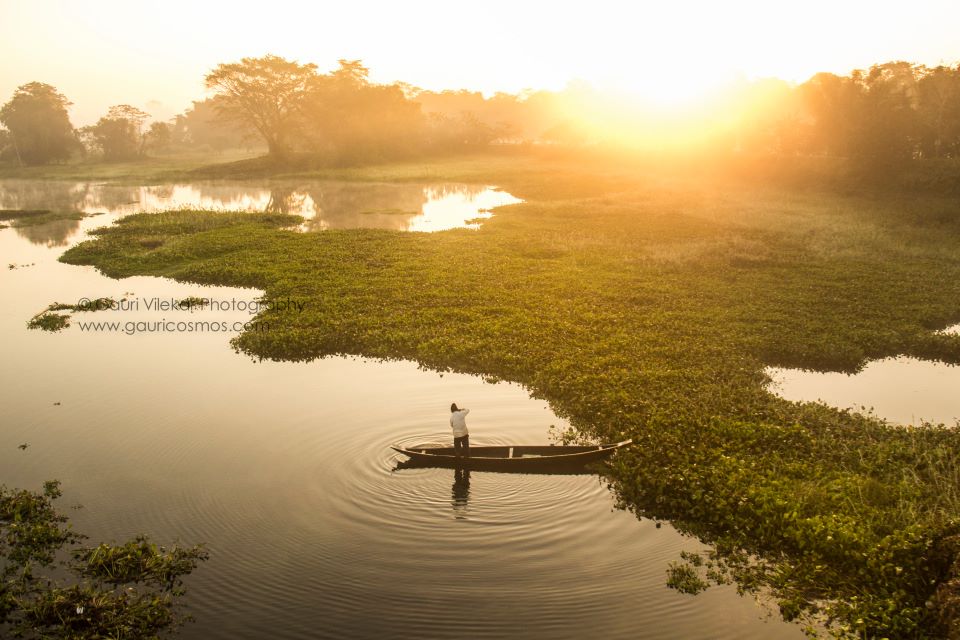 Majuli